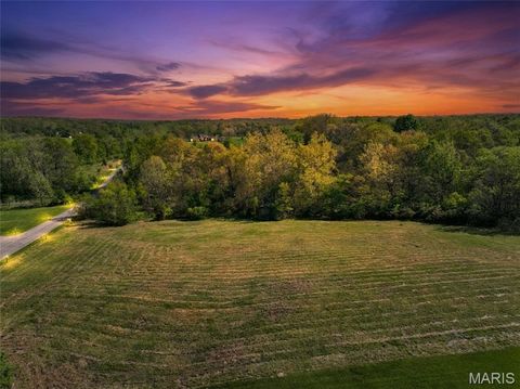 Photo of 21 Spring House Lane, Troy, MO 63379 (MLS # 26022868)