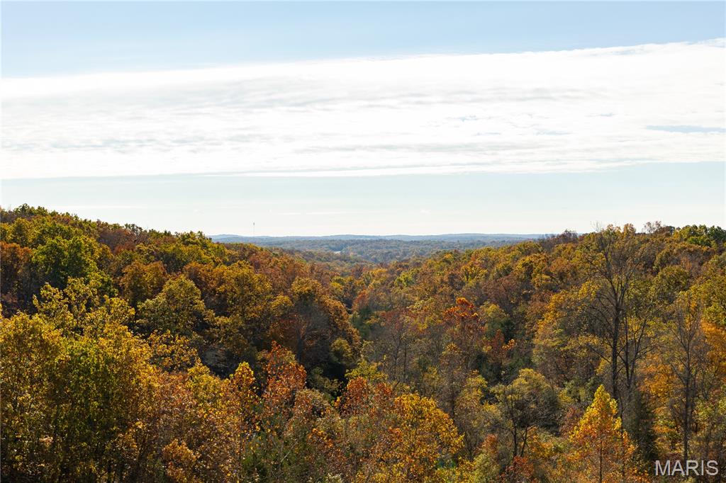 Photo 1 of 20 — Lot 1B Short Road, Blackwell, MO 63626
