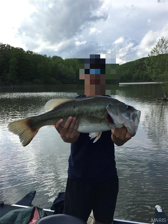 Estates at Callaway Lake - Land