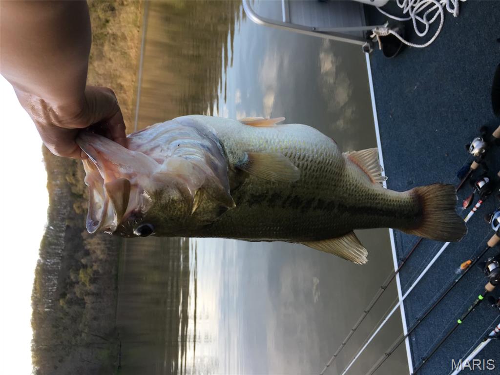 Estates at Callaway Lake - Land