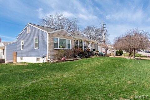 Tiny photo for 4028 Blow Street, St Louis, MO 63116 (MLS # 26014638)