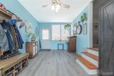 Tiny photo for 4028 Blow Street, St Louis, MO 63116 (MLS # 26014638)