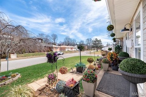 Tiny photo for 4028 Blow Street, St Louis, MO 63116 (MLS # 26014638)