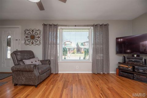 Tiny photo for 4028 Blow Street, St Louis, MO 63116 (MLS # 26014638)