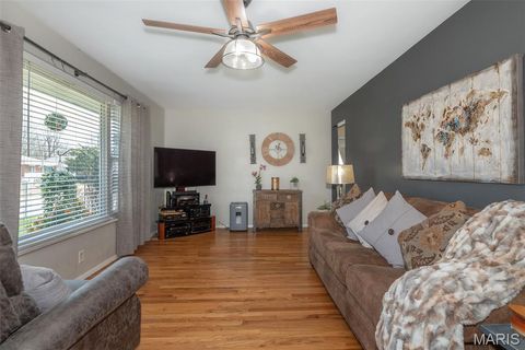 Tiny photo for 4028 Blow Street, St Louis, MO 63116 (MLS # 26014638)