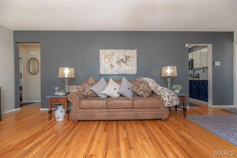 Tiny photo for 4028 Blow Street, St Louis, MO 63116 (MLS # 26014638)