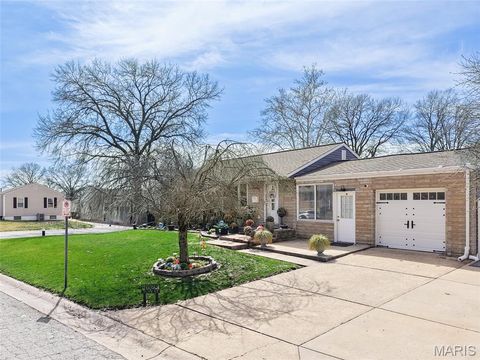 Tiny photo for 4028 Blow Street, St Louis, MO 63116 (MLS # 26014638)