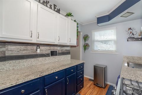 Tiny photo for 4028 Blow Street, St Louis, MO 63116 (MLS # 26014638)