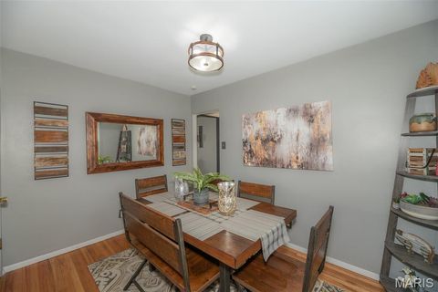 Tiny photo for 4028 Blow Street, St Louis, MO 63116 (MLS # 26014638)