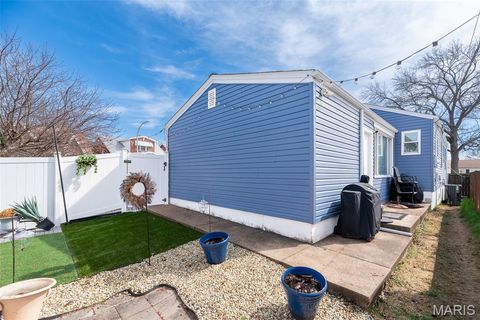 Tiny photo for 4028 Blow Street, St Louis, MO 63116 (MLS # 26014638)