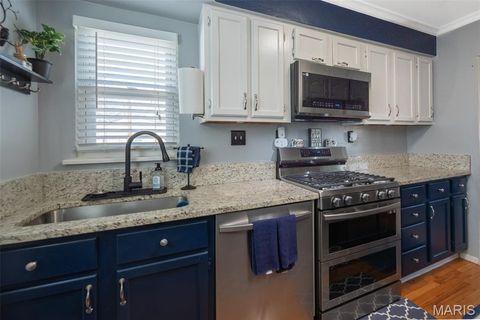 Tiny photo for 4028 Blow Street, St Louis, MO 63116 (MLS # 26014638)