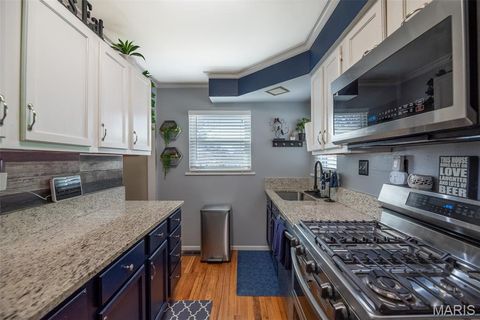 Tiny photo for 4028 Blow Street, St Louis, MO 63116 (MLS # 26014638)