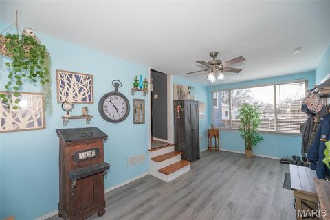 Tiny photo for 4028 Blow Street, St Louis, MO 63116 (MLS # 26014638)