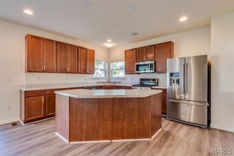 Tiny photo for 253 Village Creek Dr Drive, Ballwin, MO 63021 (MLS # 26009310)