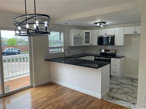 Tiny photo for 3125 Park Hampton Court, St Louis, MO 63139 (MLS # 26026630)