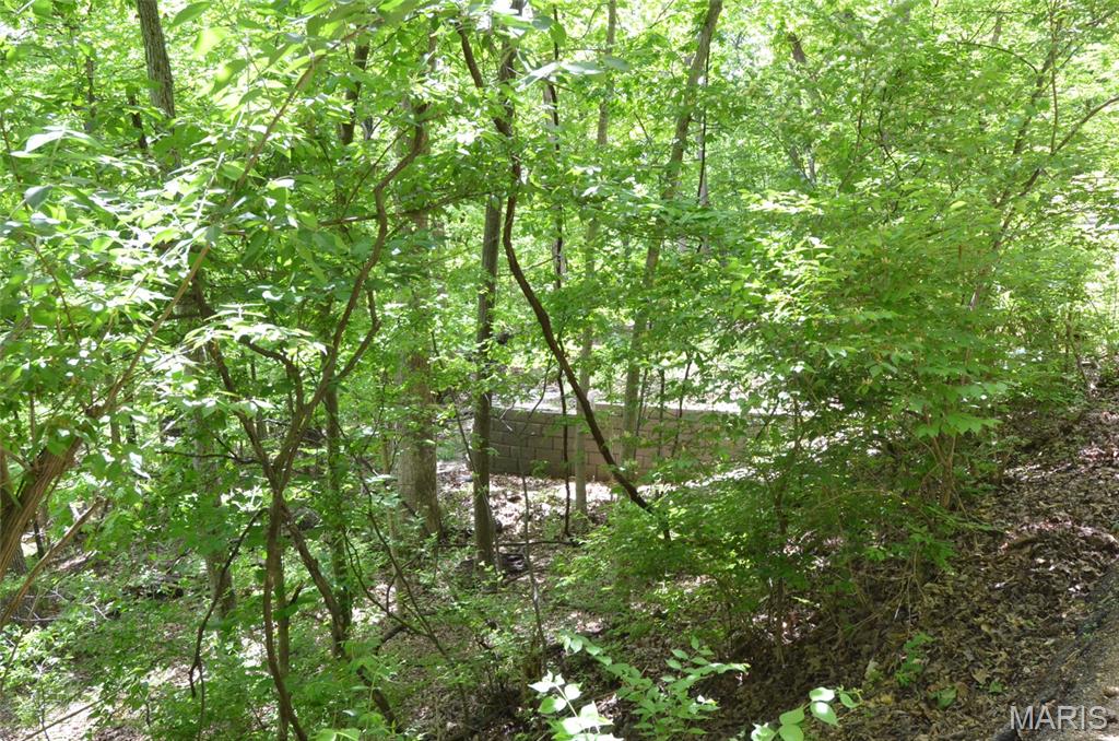 Chimney Top Farms - Land