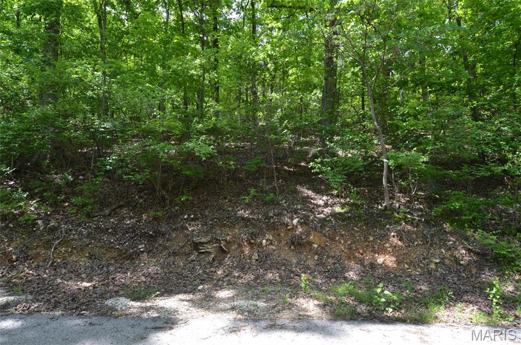Chimney Top Farms - Land