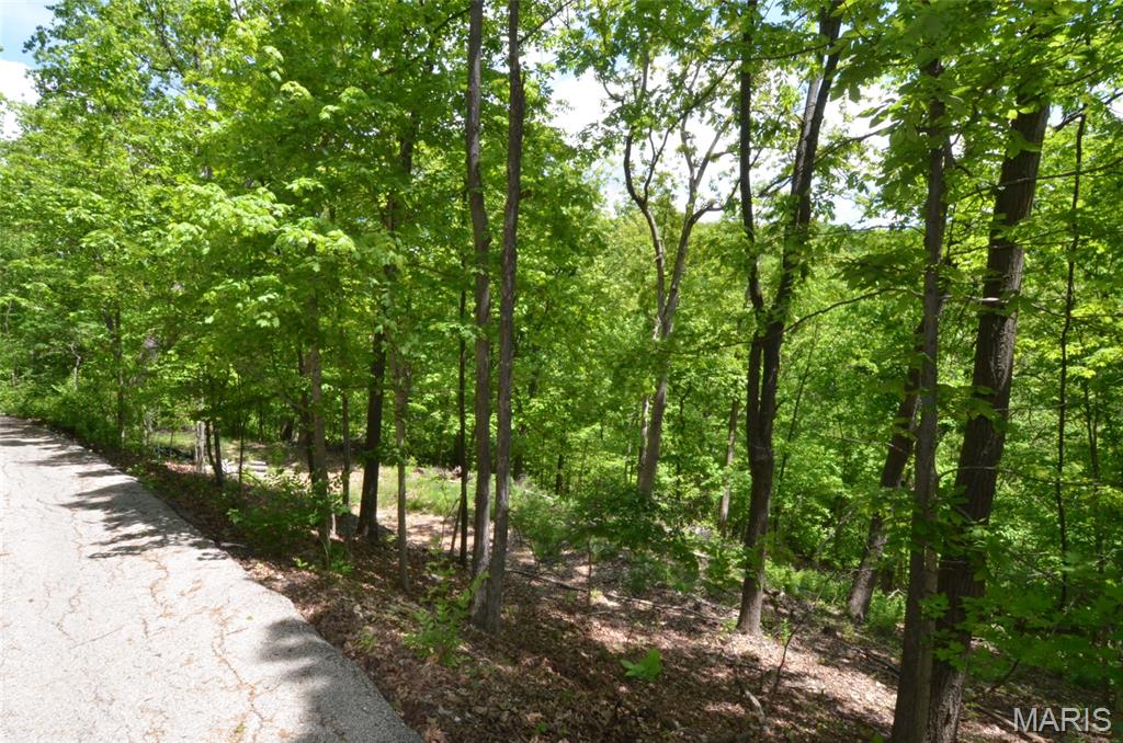 Chimney Top Farms - Land