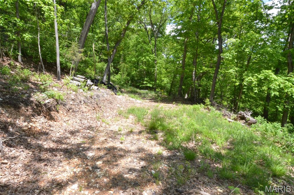 Chimney Top Farms - Land