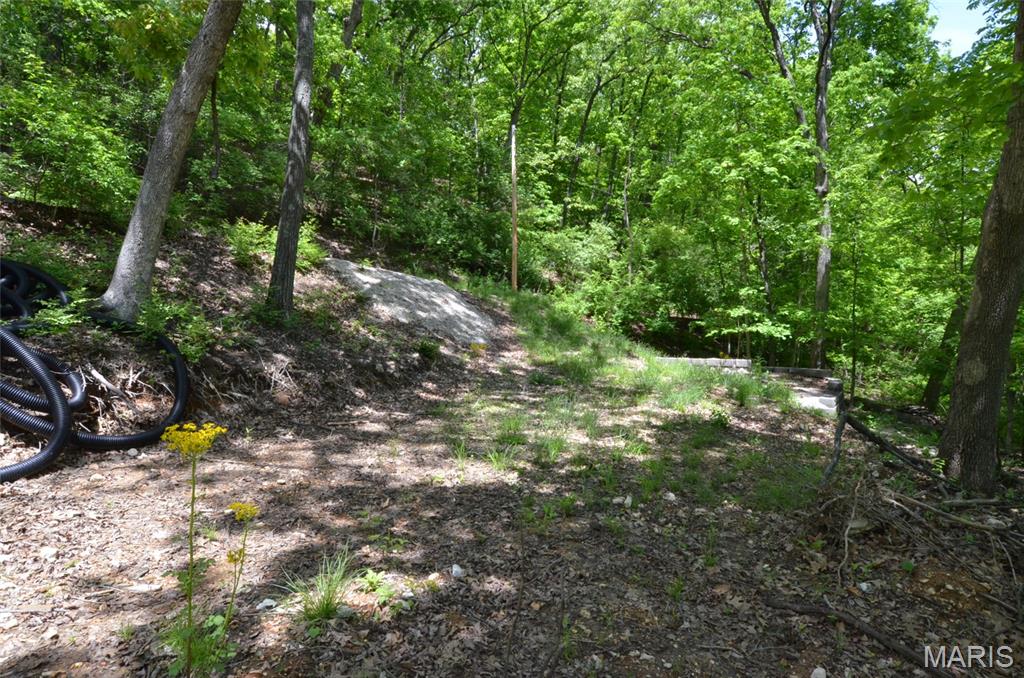 Chimney Top Farms - Land