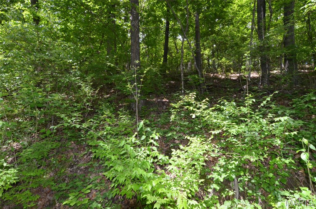 1730 Chimney Top Farms Road