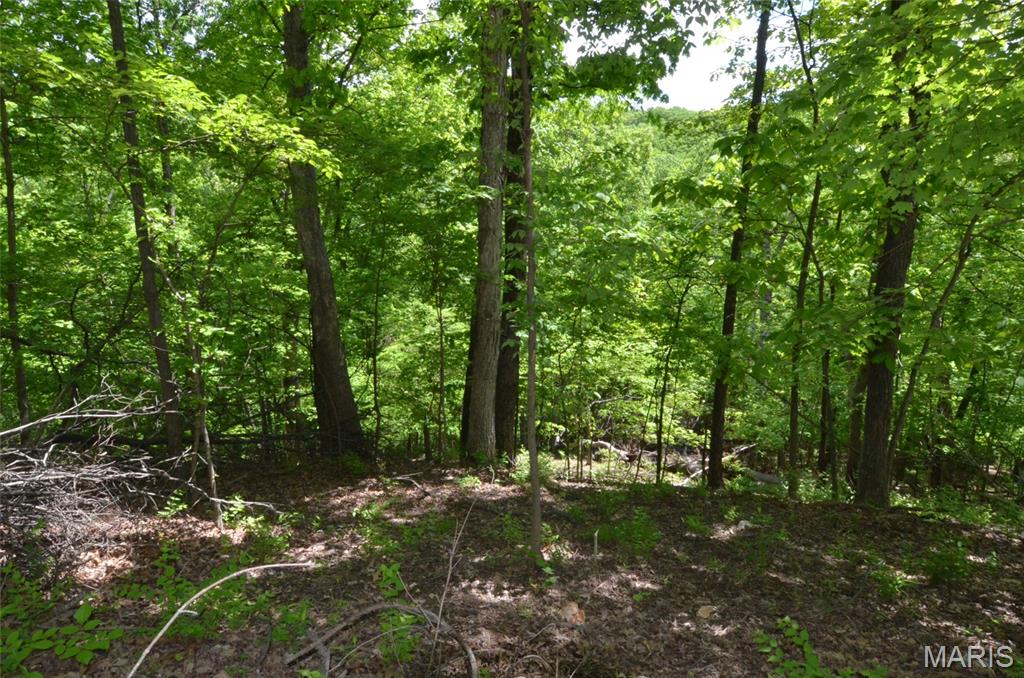 Chimney Top Farms - Land