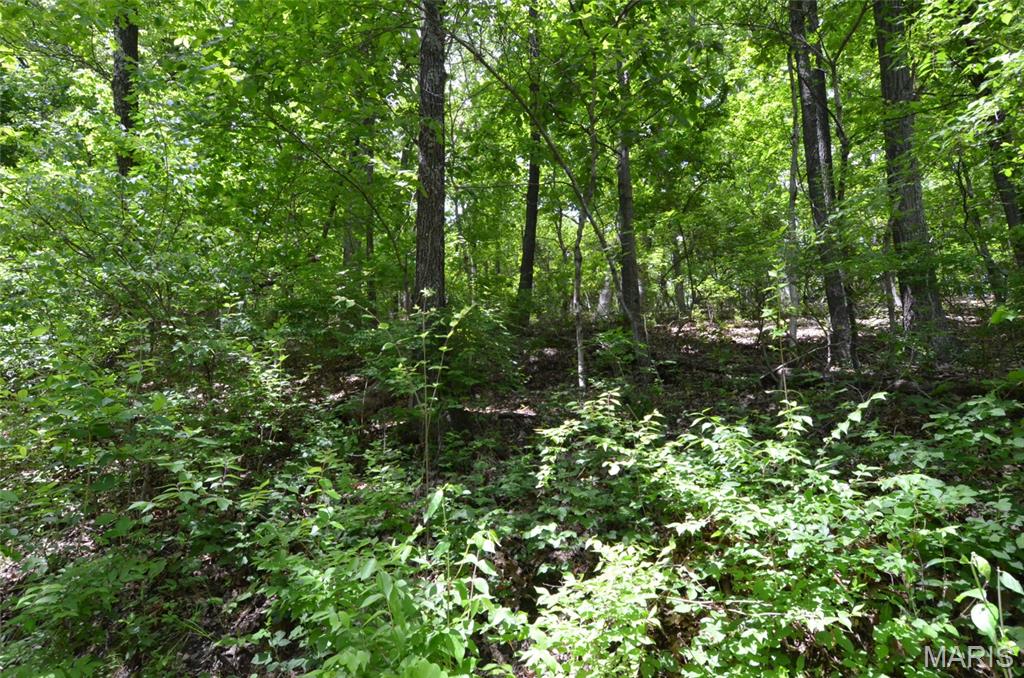 1730 Chimney Top Farms Road