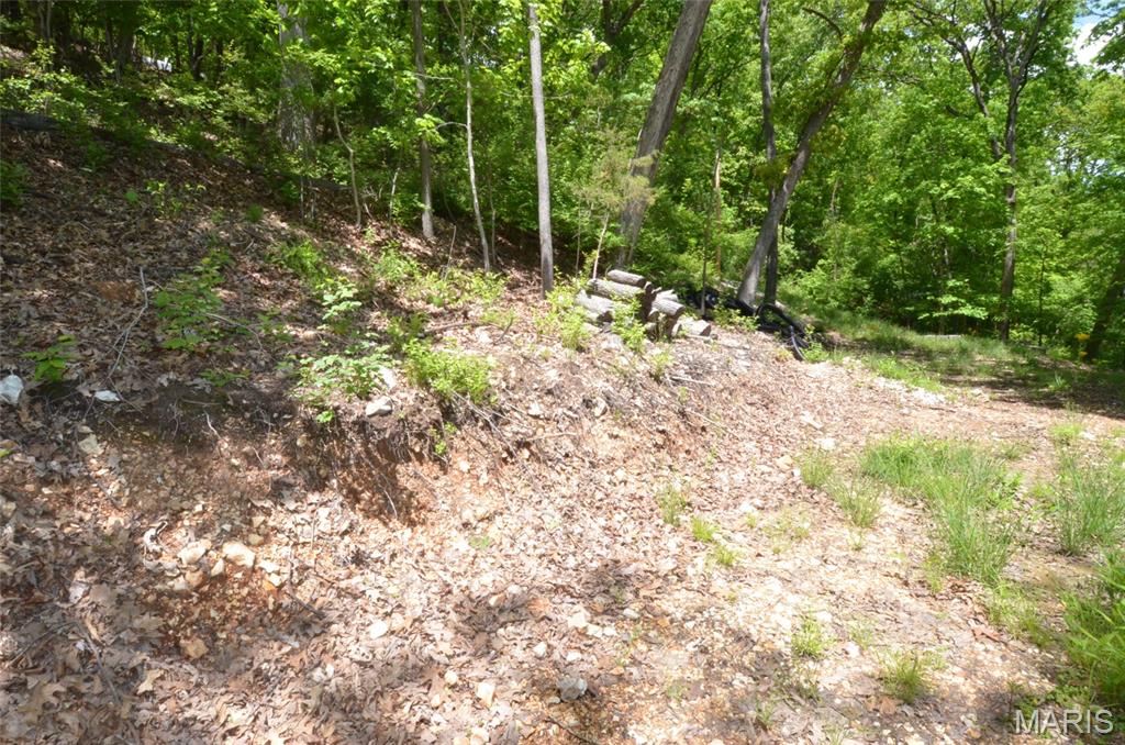 Chimney Top Farms - Land