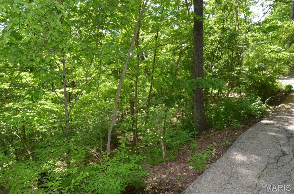 1730 Chimney Top Farms Road