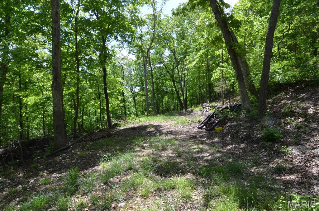 Chimney Top Farms - Land