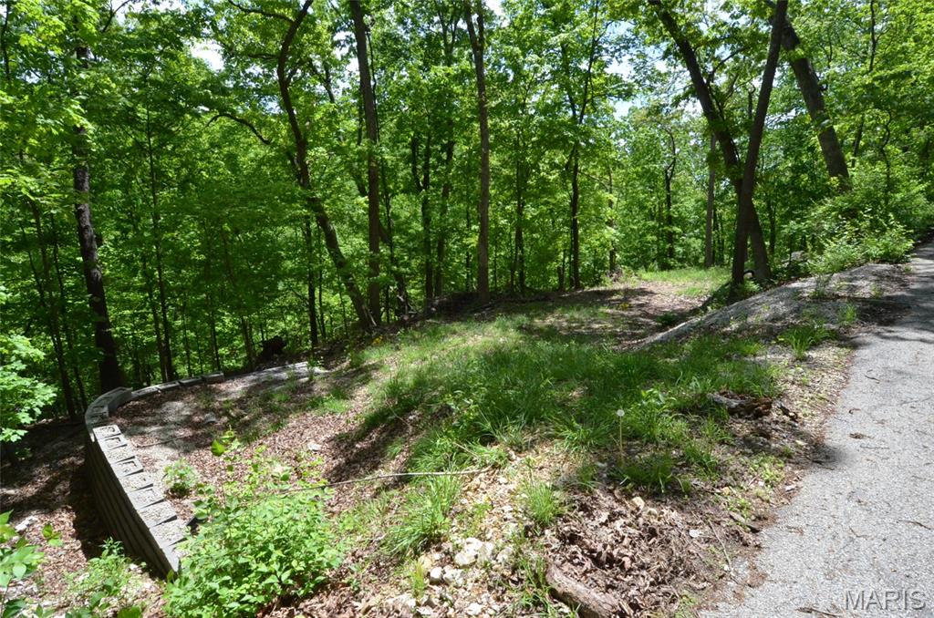 Chimney Top Farms - Land