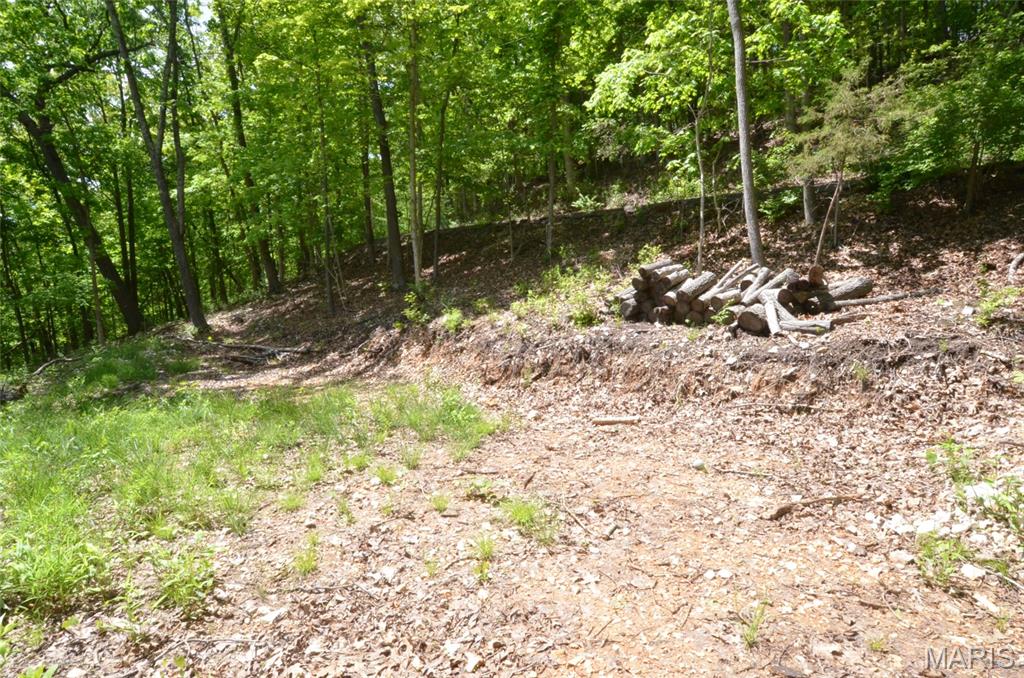Chimney Top Farms - Land