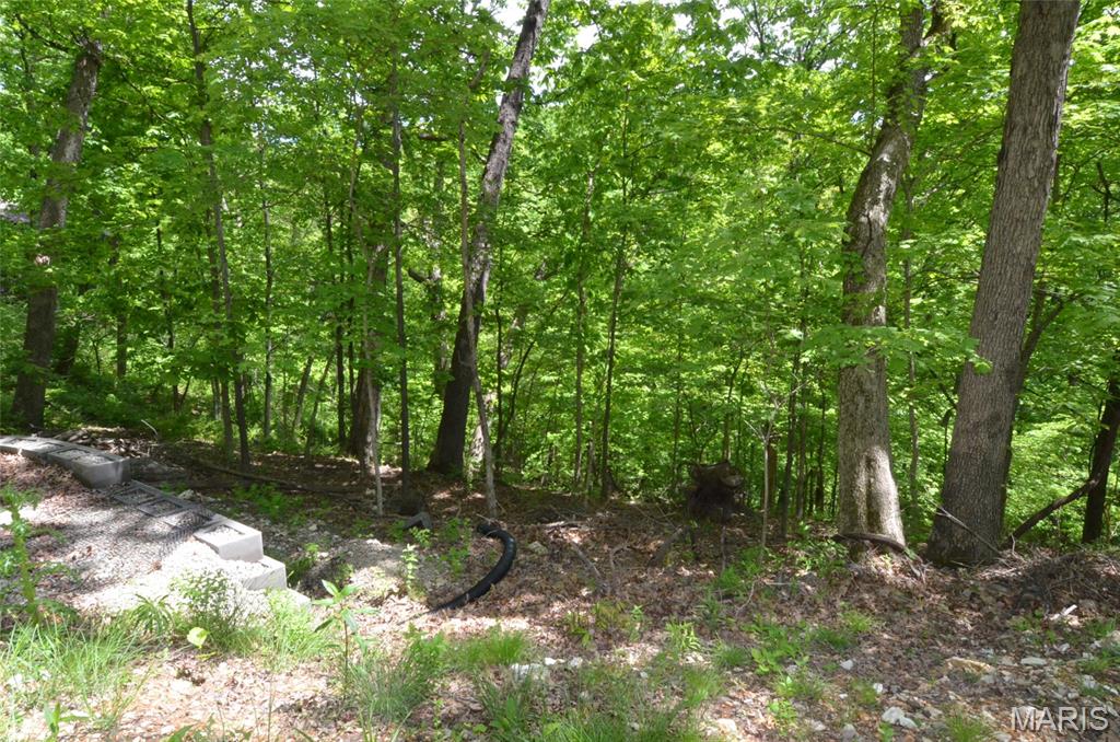 Chimney Top Farms - Land