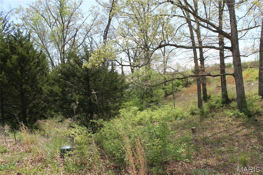 Oak Ridge Estates - Land