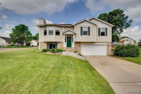 707 Hawthorne Drive Pacific MO 63069