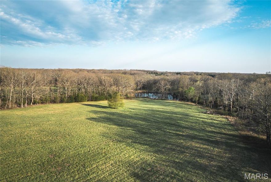 Don’t miss this stunning, one-of-a-kind tract of land just outside city limits! Just off O Highway, a long, picturesque, tree-lined driveway leads you into a peaceful, secluded setting that opens to a beautiful pasture. The property offers a perfect balance of natural beauty and usable land, and includes a scenic pond with a dock for relaxing or enjoying the outdoors. Abundant wildlife and scenic views make this an ideal escape for outdoor enthusiasts, while the mix of open ground and woods provides endless possibilities. Whether you’re looking to build your dream home, create a private retreat, develop multiple homesites, or enjoy a recreational or hunting getaway, this property checks all the boxes. Land like this doesn’t hit the market often, schedule a showing today and experience everything this incredible property has to offer before it’s gone!