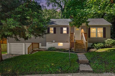 Photo of 824 N Forest Avenue, Webster Groves, MO 63119 (MLS # 26038745)