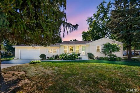 Tiny photo for 540 S Jefferson Street, Florissant, MO 63031 (MLS # 25068748)