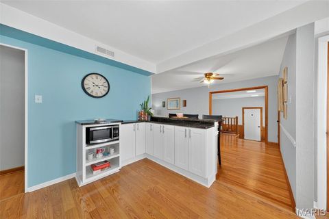 Tiny photo for 540 S Jefferson Street, Florissant, MO 63031 (MLS # 25068748)
