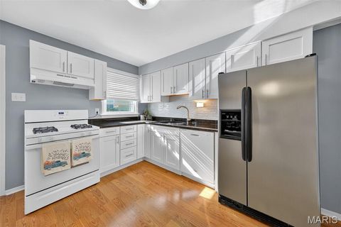 Tiny photo for 540 S Jefferson Street, Florissant, MO 63031 (MLS # 25068748)