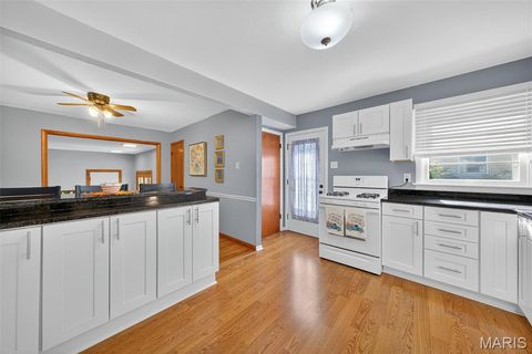 Tiny photo for 540 S Jefferson Street, Florissant, MO 63031 (MLS # 25068748)