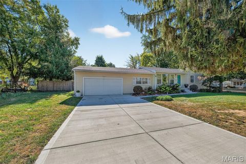 Tiny photo for 540 S Jefferson Street, Florissant, MO 63031 (MLS # 25068748)