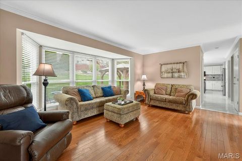 Tiny photo for 10331 Jade Forest Drive, Unincorporated, MO 63123 (MLS # 26019234)