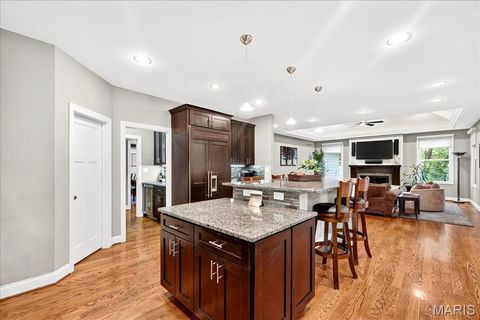 Tiny photo for 699 W Washington Avenue, Kirkwood, MO 63122 (MLS # 25064879)