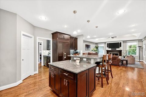 Tiny photo for 699 W Washington Avenue, Kirkwood, MO 63122 (MLS # 25064879)