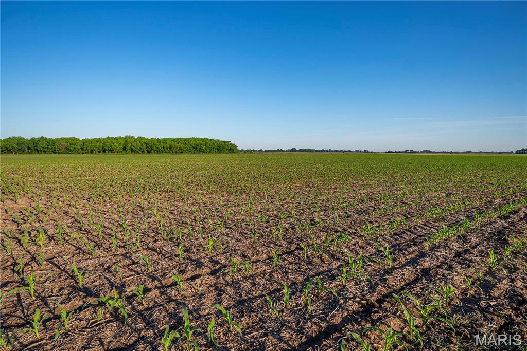 n/a - Farm