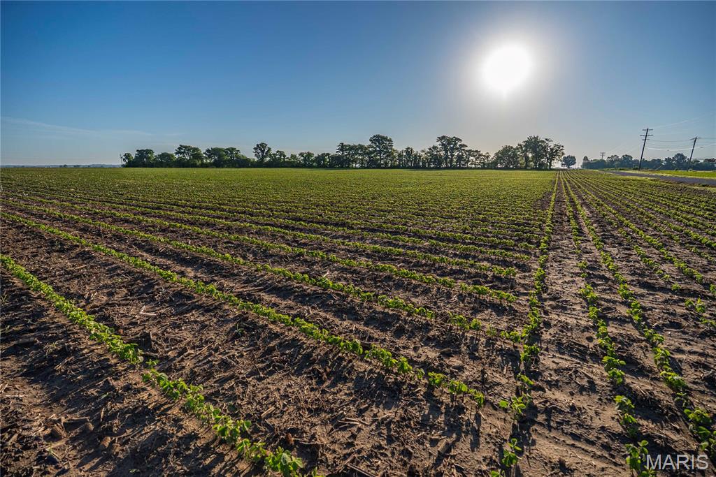 n/a - Farm