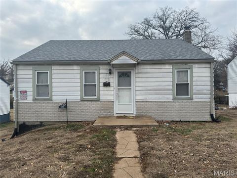 Photo of 511 Averill Avenue, Ferguson, MO 63135 (MLS # 25082461)