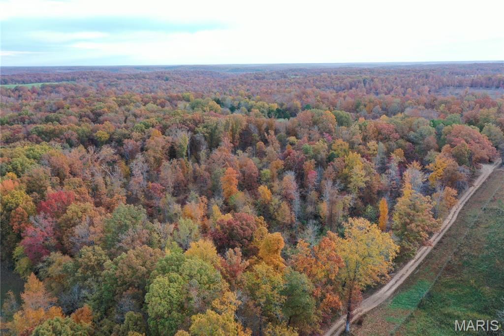 Photo of TBD Tract 1 Bobwhite Lane, Fairdealing, MO 63939 (MLS # 25080199)