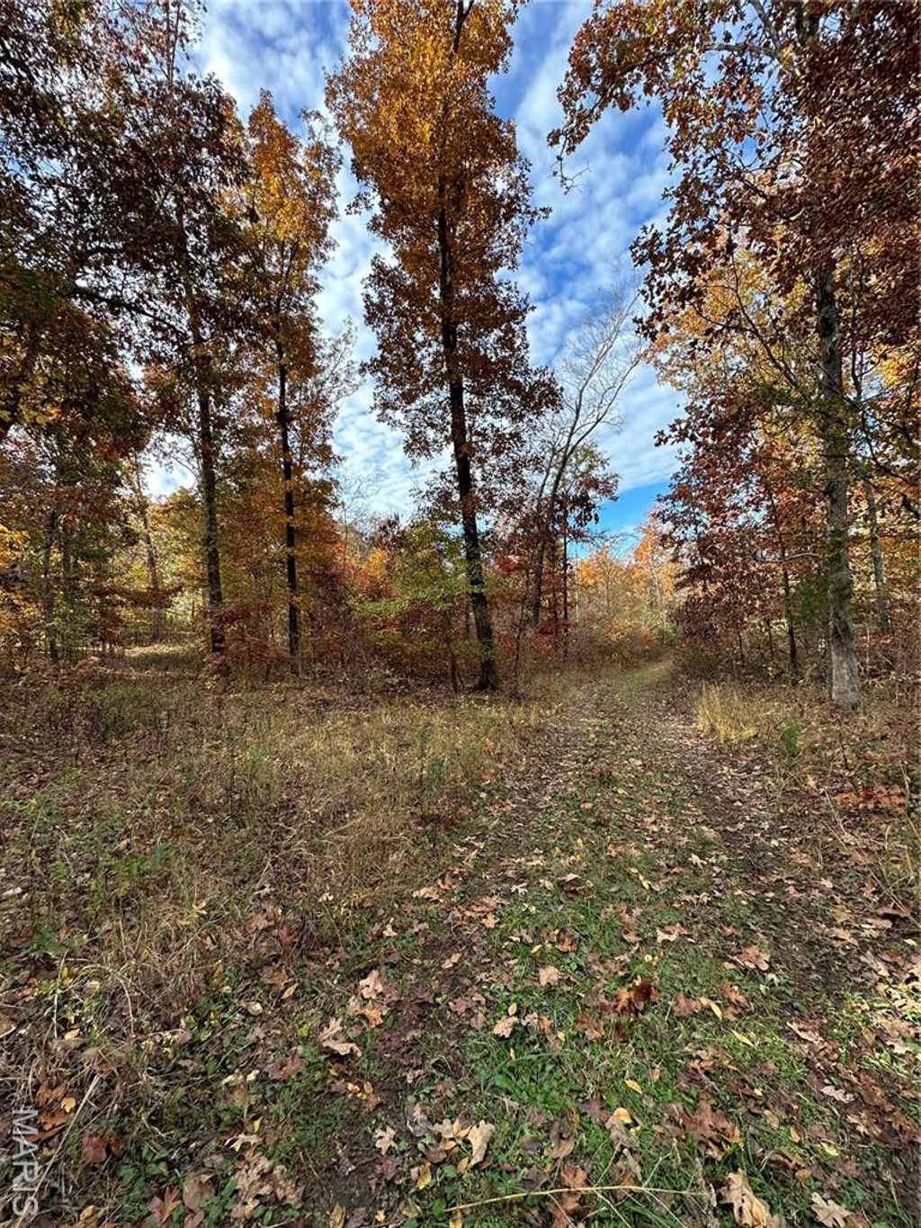 Photo of TBD Tract 1 Bobwhite Lane, Fairdealing, MO 63939 (MLS # 25080199)